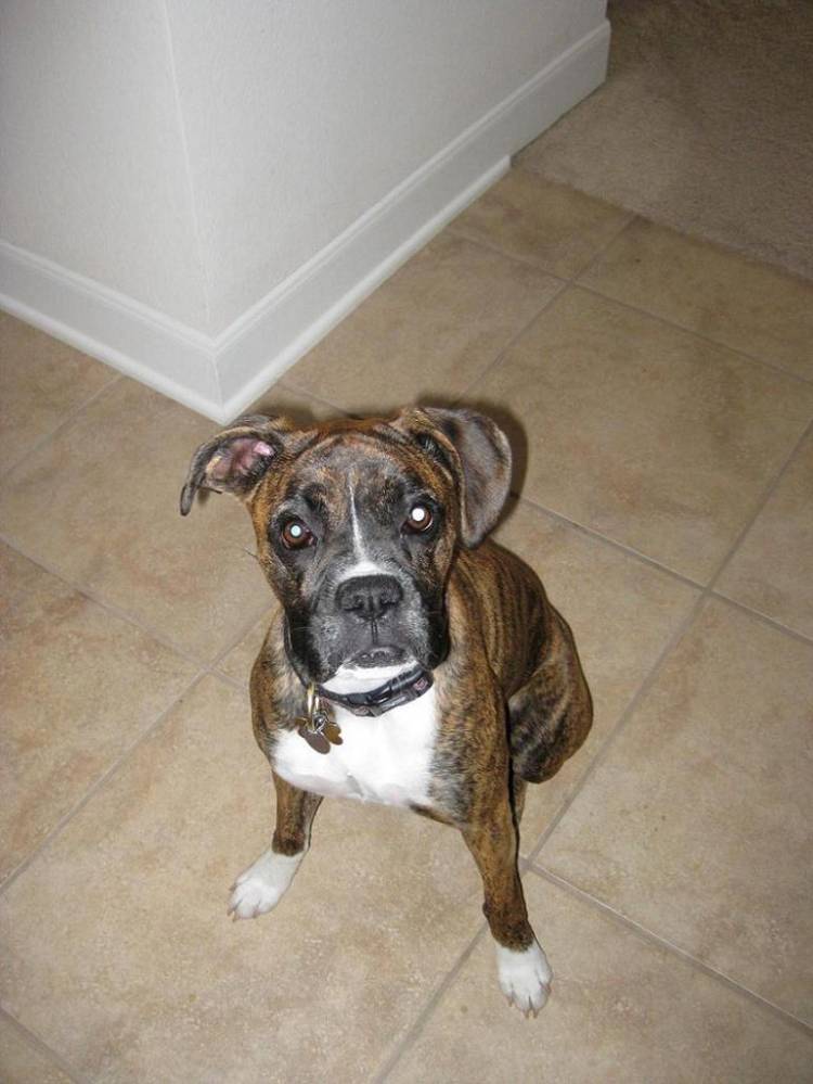 8 months- looking pretty