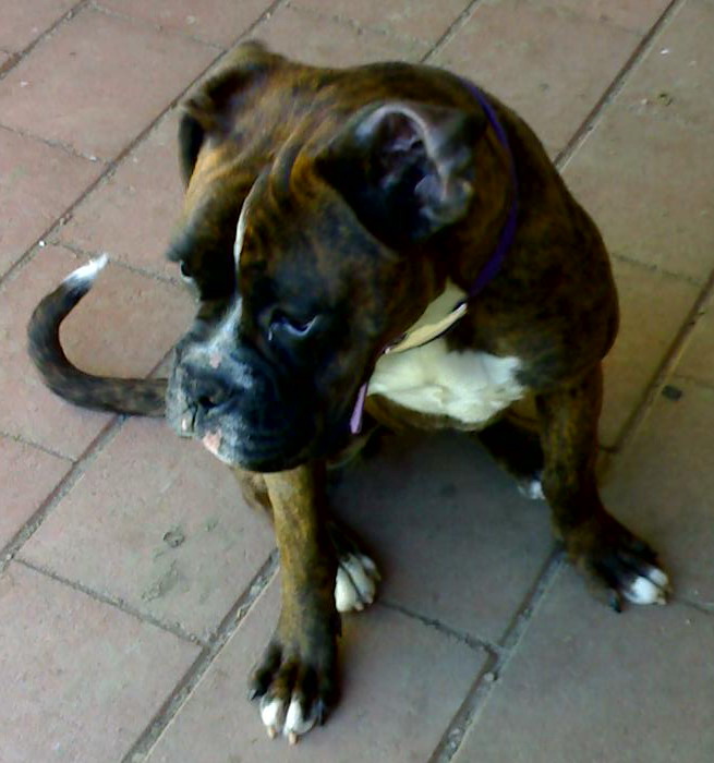 8 months old