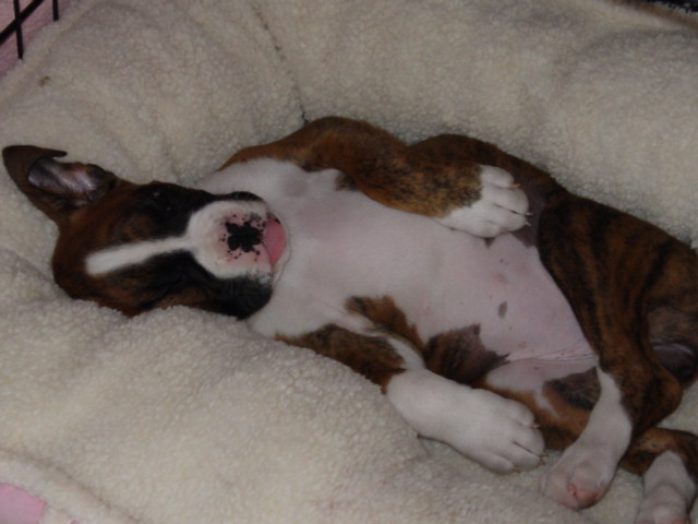 8 weeks so tired