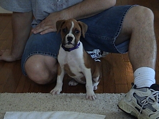 8 Weeks