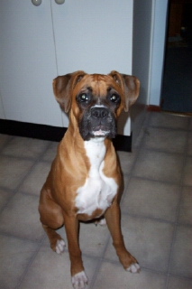 8mths