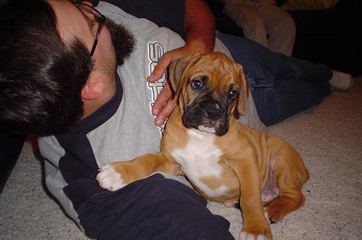 9 WEEKS OLD