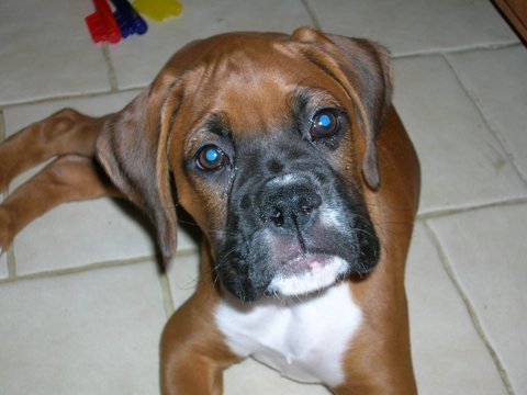 9 Weeks