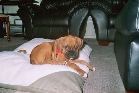 9 weeks