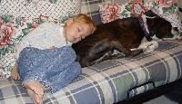 A boy and his dog