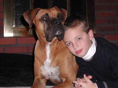 A Boy & his Boxer