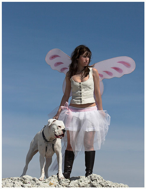 A butterfly and a boxer