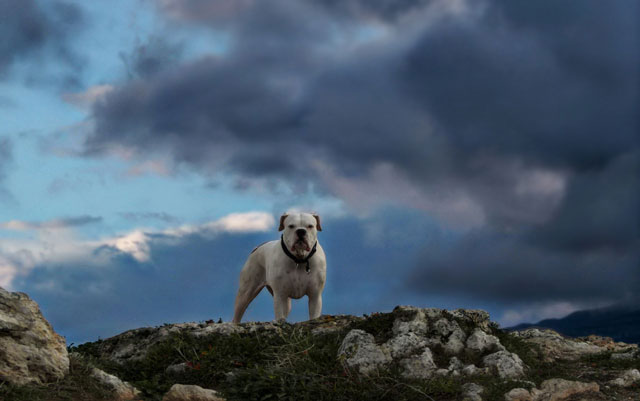 A cloudy day