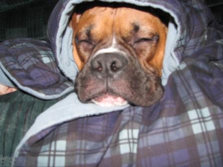 a cold winter day