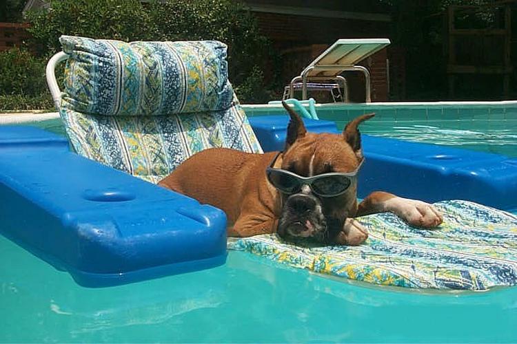A Day at the pool