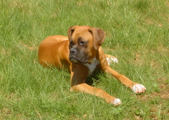 A day relaxing in the sun