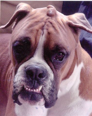 a face only a dad could love!