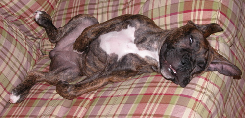 A face only a mother could love...