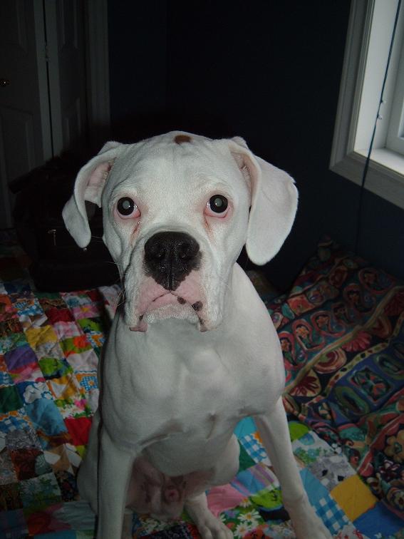 A Face only a mother could love!