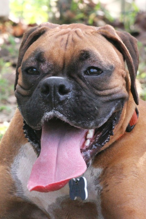A face to love