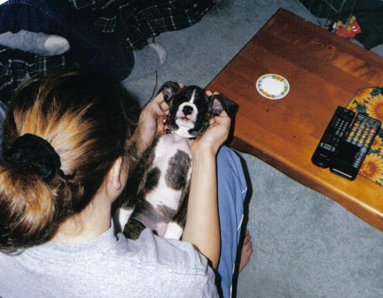 A favourite picture