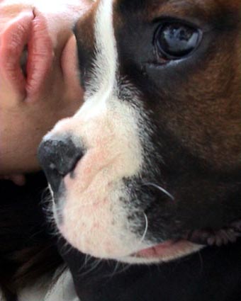 a kiss