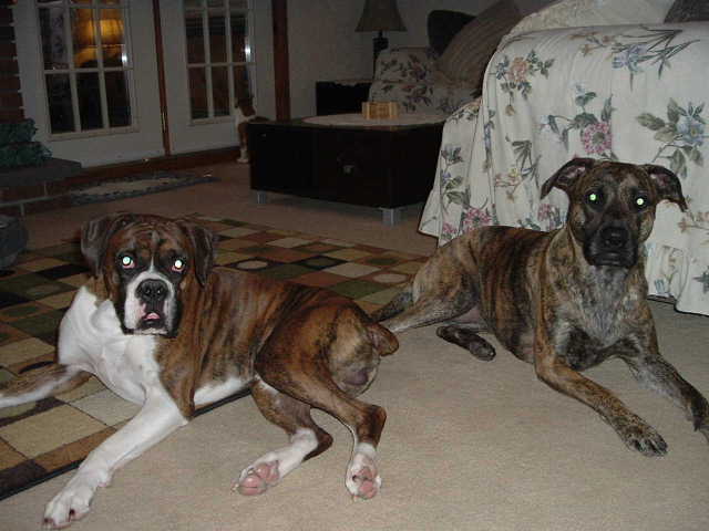 A Lady & Buster