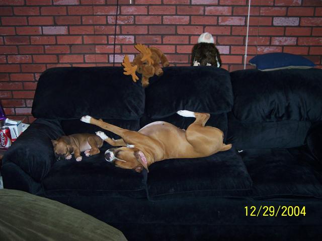 a little nap