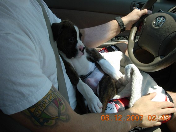 A little ride