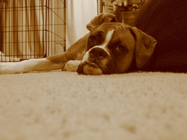 A Long Day