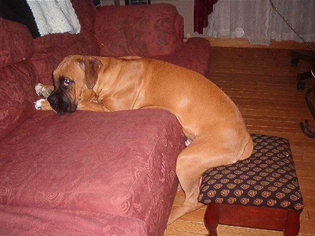 a long day