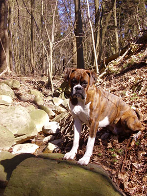 A lovely day in april..