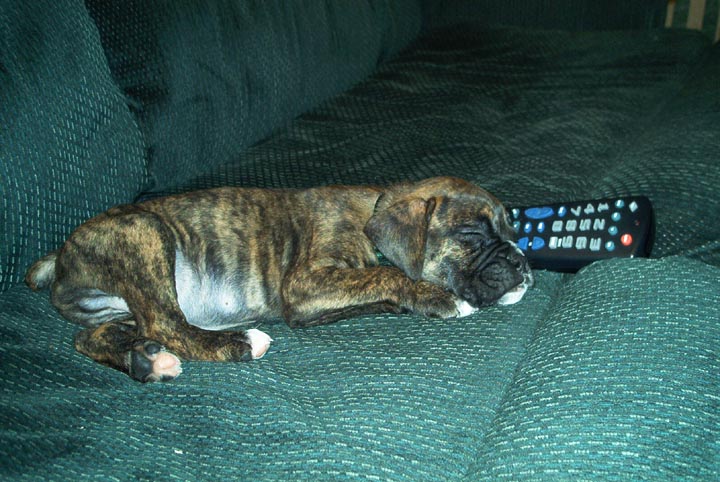 A mans two BEST FRIENDS