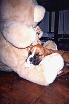 A nap with my new best friend...
