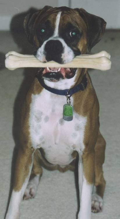 A NEW BONE!!!