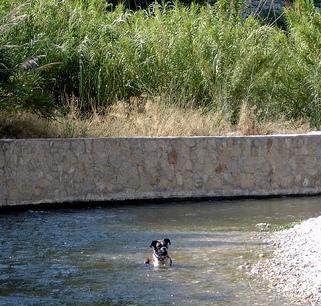 a nice cool dip.