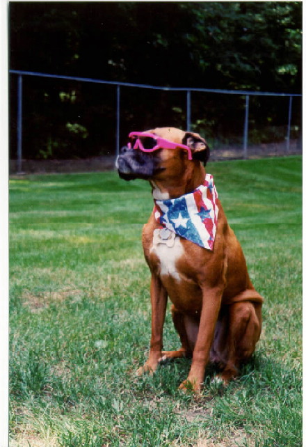 A Patriotic "Girl"