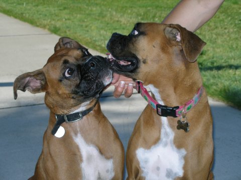 A perfect opportunity to sneak in a big wet kiss