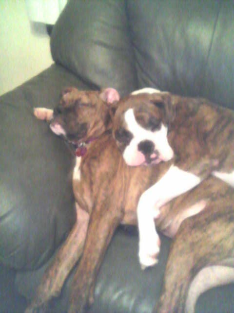 a rare moment of rest!!