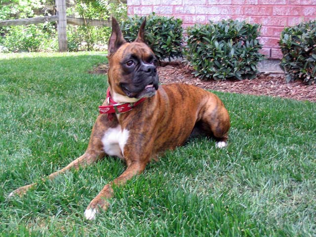 A relaxing spring morning