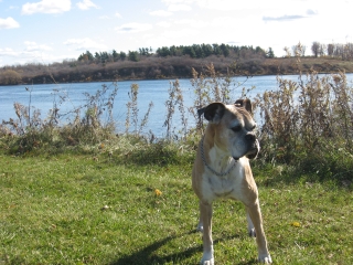 A Sunny Autumn Day