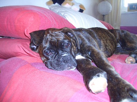 A Tired Boy
