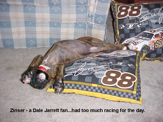 A Tough Day at the NASCAR Races