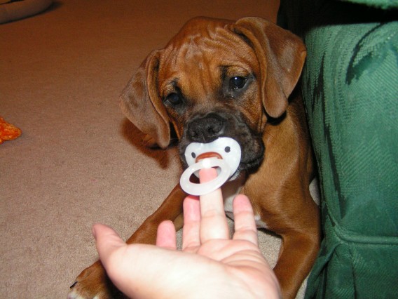 A True Baby
