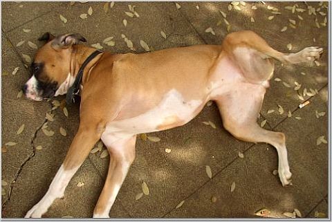 A Typical Position for Maddie