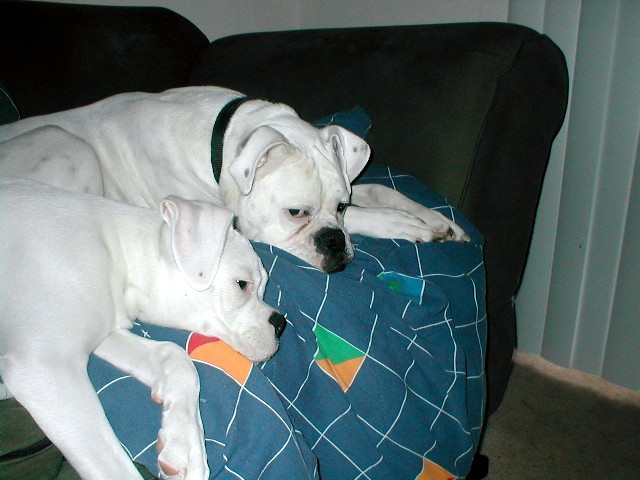aaawwww2
