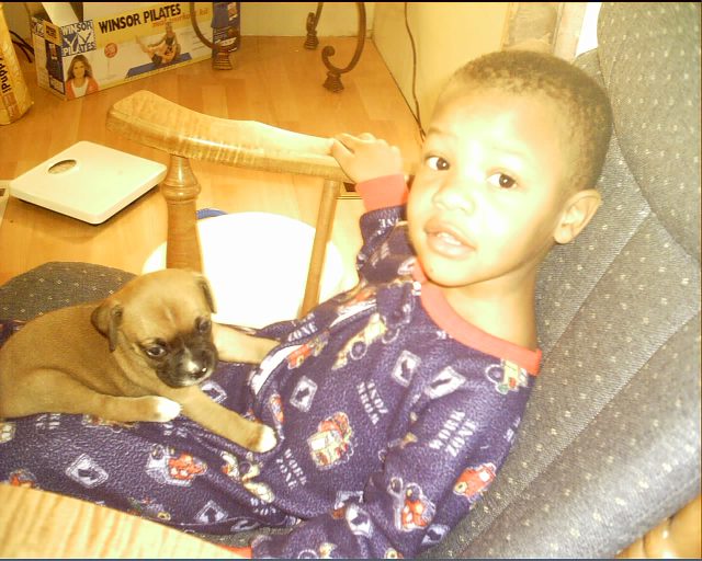 Aaron and Sheeba