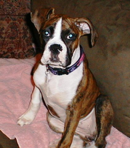 Abbey_16wks03