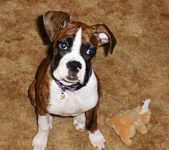 Abbey_16wks04