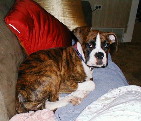 Abbey_16wks06
