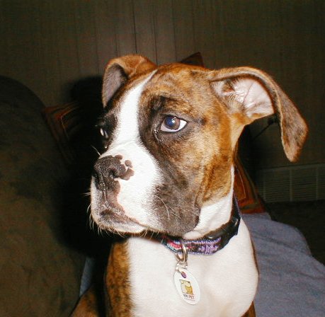 Abbey_16wks15