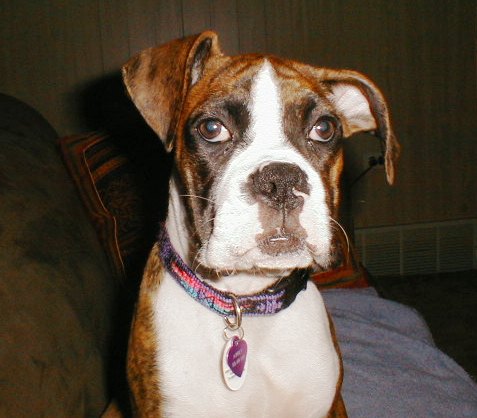 Abbey_16wks16