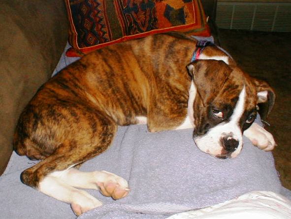 Abbey_16wks19