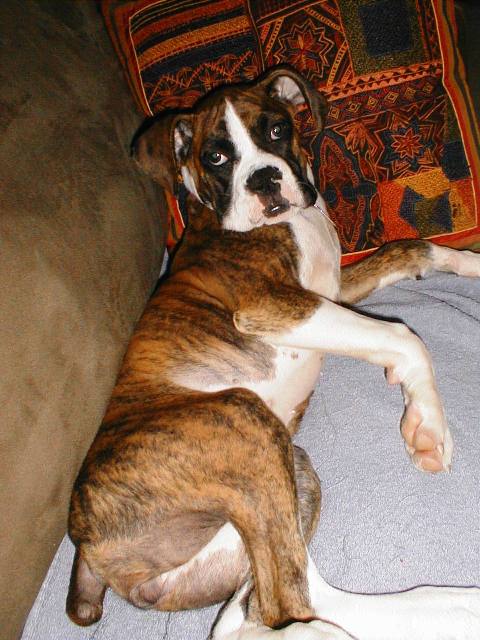 Abbey_16wks20