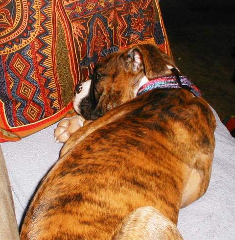 Abbey_16wks221